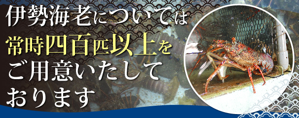 伊勢海老については常時四百匹以上をご用意いたしております。